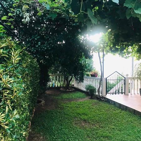 Apartments Vila Andja سفيتي ستيفان المظهر الخارجي الصورة